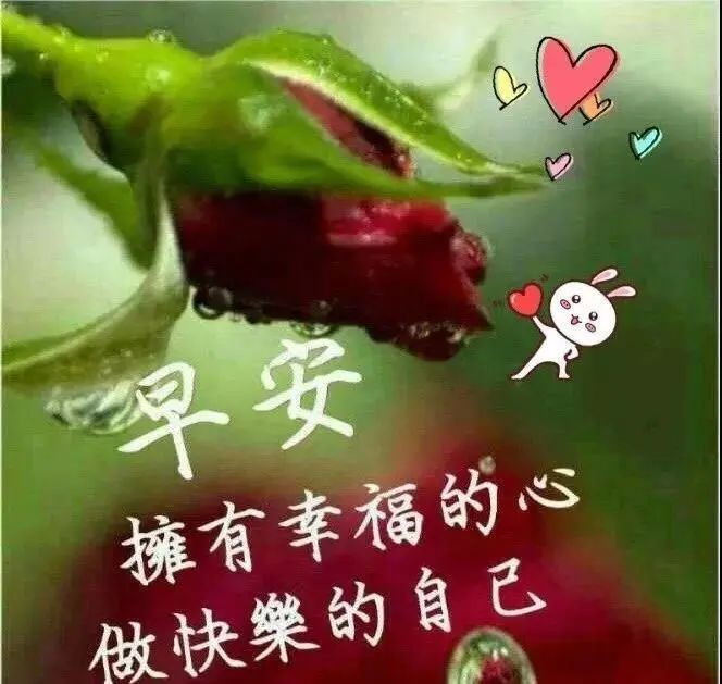 中老年表情包,心若年轻岁月不老,看淡一切自然就好!