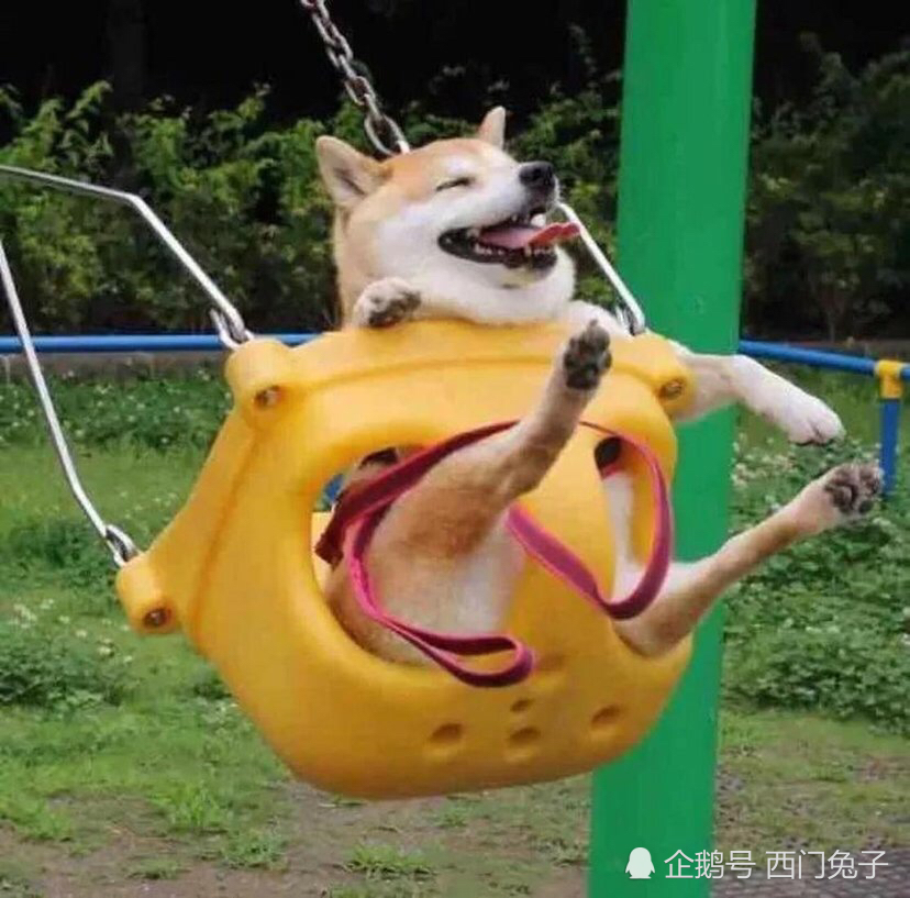 每日一笑:皇上最终还是扛不住生活的压力,开始了送外卖