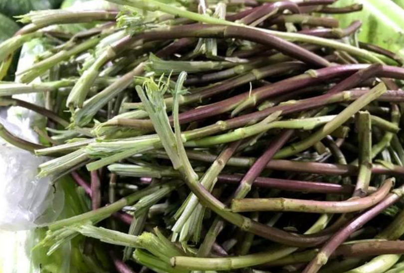农村野菜,钙含量是牛奶的7倍,市场上10元一斤,自己在家就能种