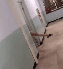 生 为沙雕界义务贡献了无数素材 不怕沙雕多 就怕沙雕住一窝 男生宿舍