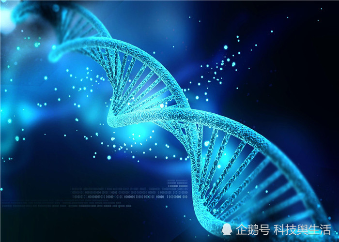 科学家找到一免疫细胞,长期保持活性,或能告别人类衰老!