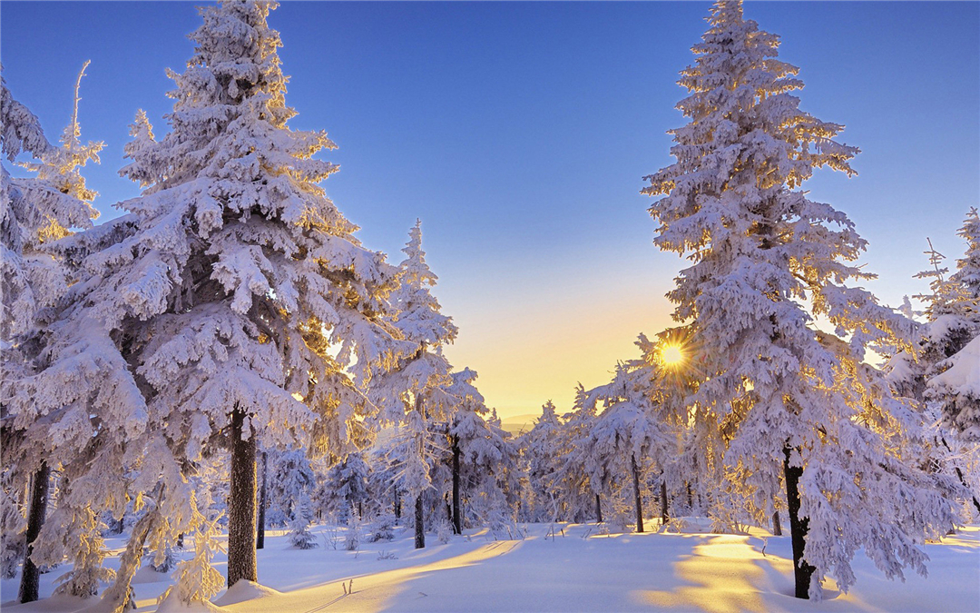 壁纸,美图,雪,冰雪世界,风景