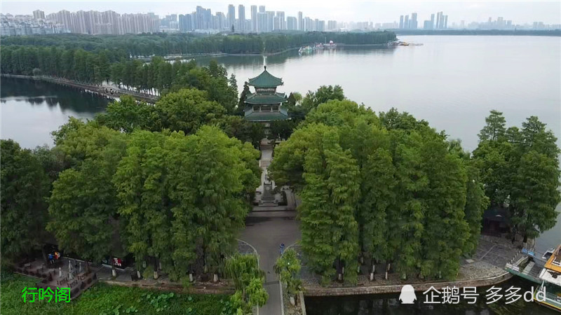 航拍武汉东湖风景区听涛景区