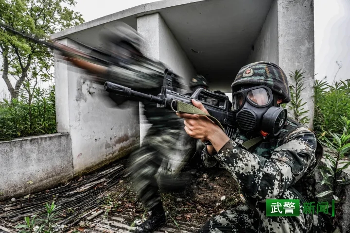 武警,据枪,步枪