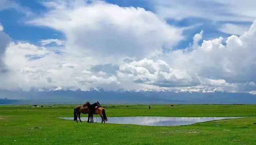 草原,新疆,巴音布鲁克景区,巴音布鲁克草原,江布拉克,新疆伊犁哈萨克