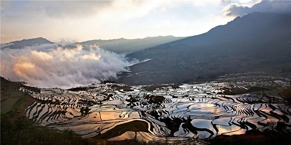 张秋煌,梯田,哈尼族,元阳梯田,大地,老虎嘴梯田