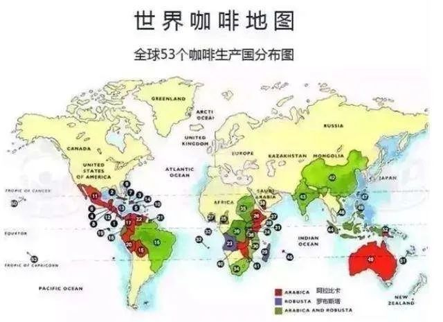冰咖啡,咖啡豆,麝香猫咖啡,饮品