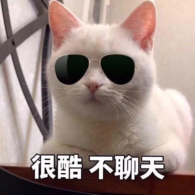 表情包:我早已看穿了一切