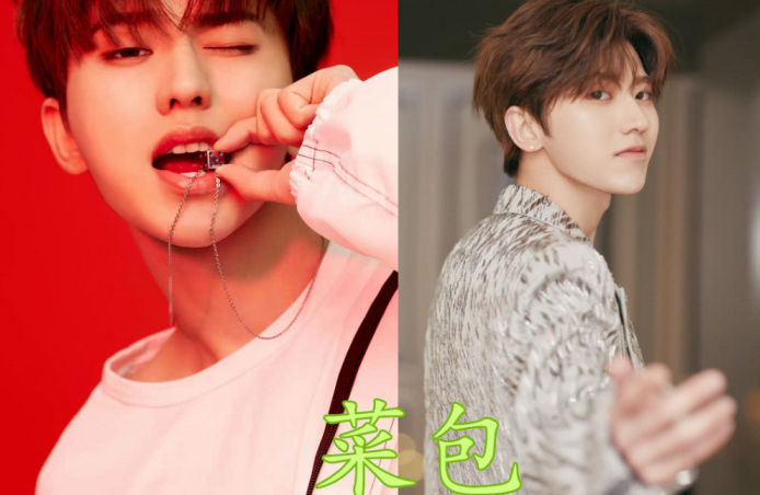 蔡徐坤小名搞笑,华晨宇小名可爱,赵露思小名霸气,看到