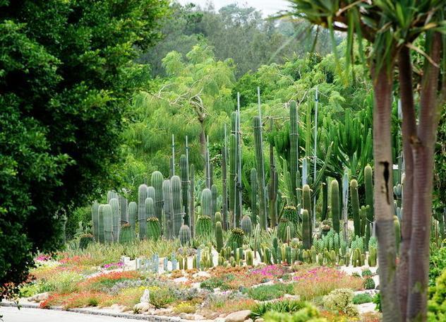 厦门植物园,福建,厦门