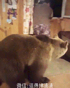 搞笑gif段子:你们竟然如此欺负我的女神!