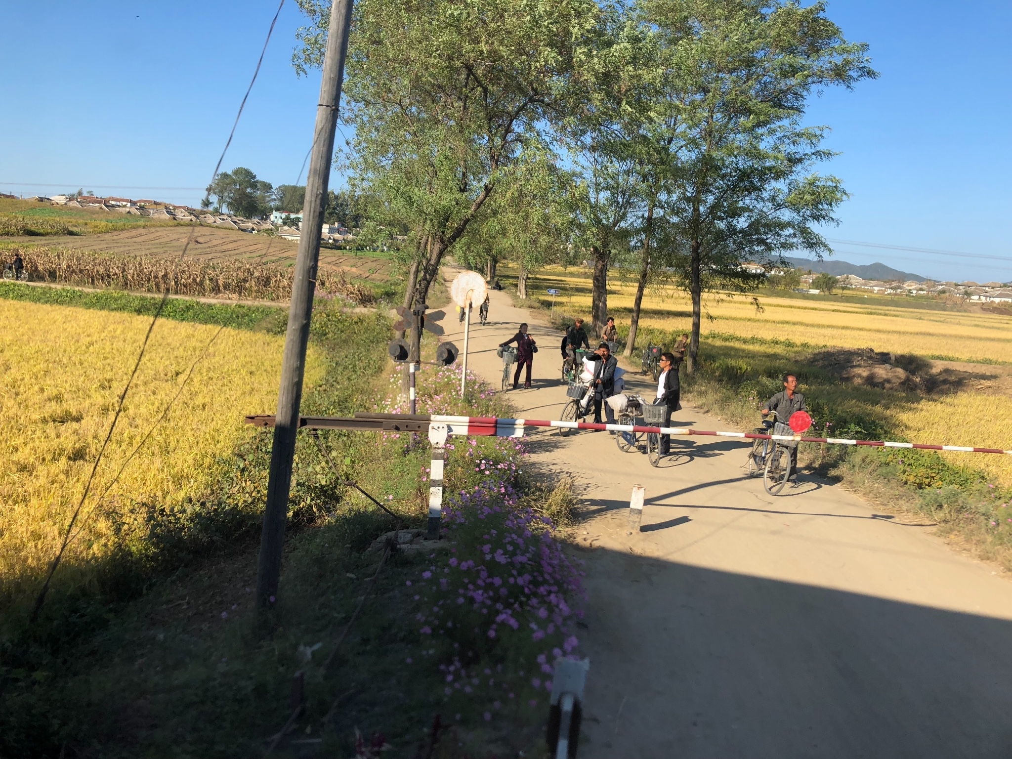 朝鲜农村男人生活悠闲,农村女人的生活呢?