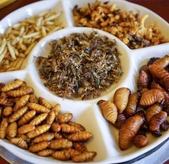 它本来是竹林害虫,却被"吃货"发掘成为美食,味道还很鲜美肥嫩