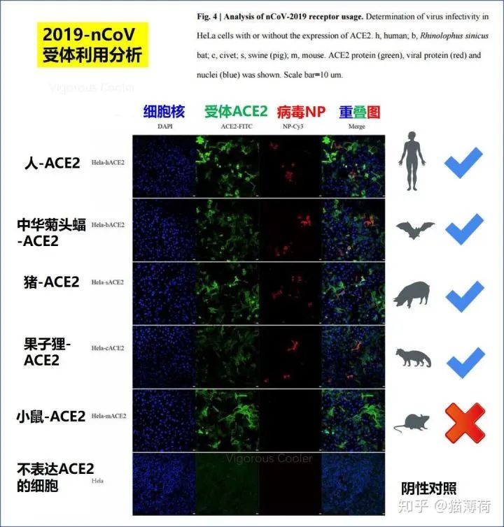 新冠病毒,维多利亚州,北京,布雷特·萨顿,卫生部门,墨尔本