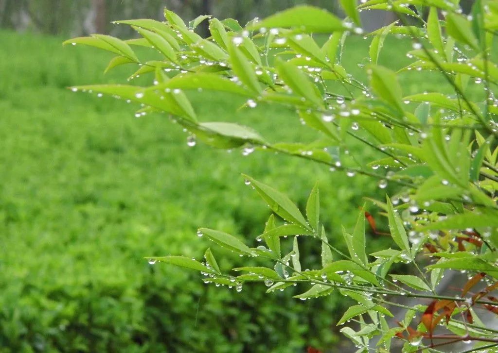 我国是一个季风气候明显的国家,每年的雨季(南方为4-9月,北方为6-9月