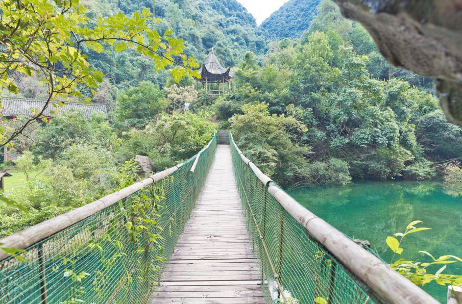大奇山国家森林公园,千岛湖龙川湾,杭州,天子地,桐庐县,森林康养