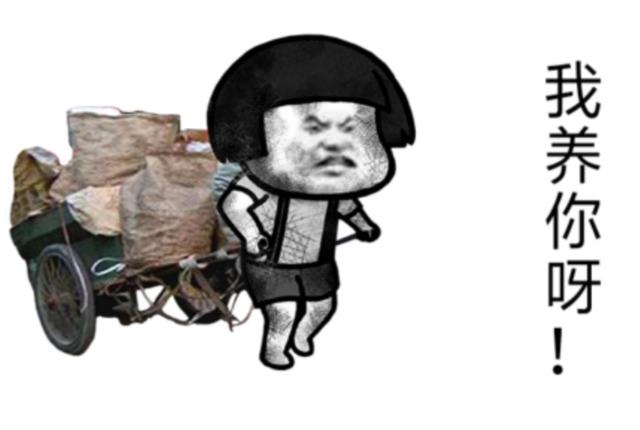 斗图表情包:我拉车养你呀!