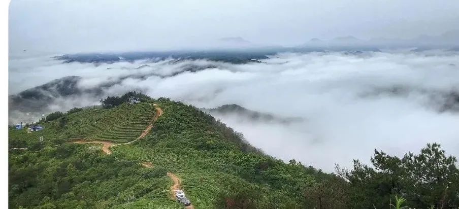 桐城:多家a级景区,对全国援鄂医疗队员不限次免费开放