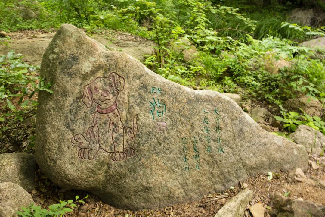 "天然空调""氧吧" 重岭叠峰 高山深谷交错 环境优美 旅游资源极为丰富