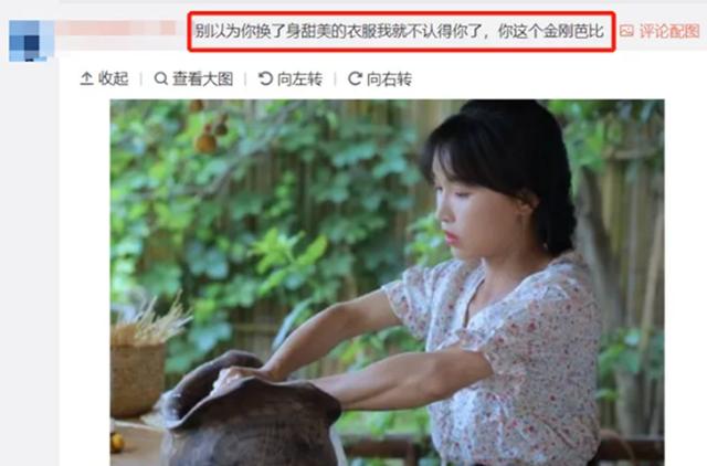 李子柒真实颜值被助理曝光,大红的背后让人后怕