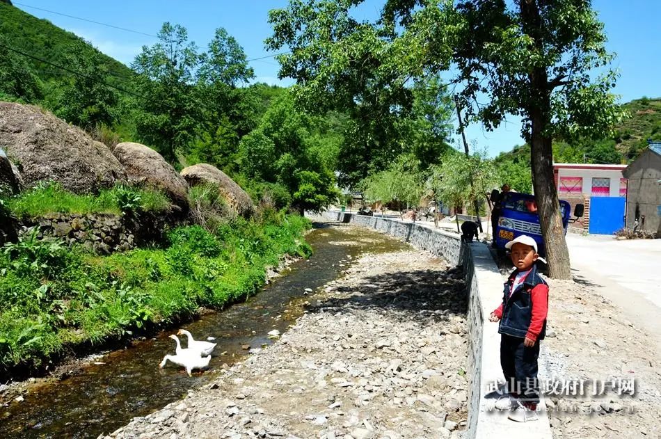 武山县,城关镇,大水沟,杨河镇,水务局
