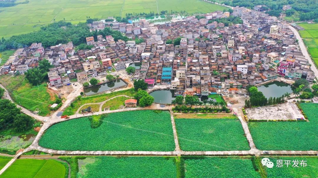 古村落,高园村,恩平市,沙湖镇