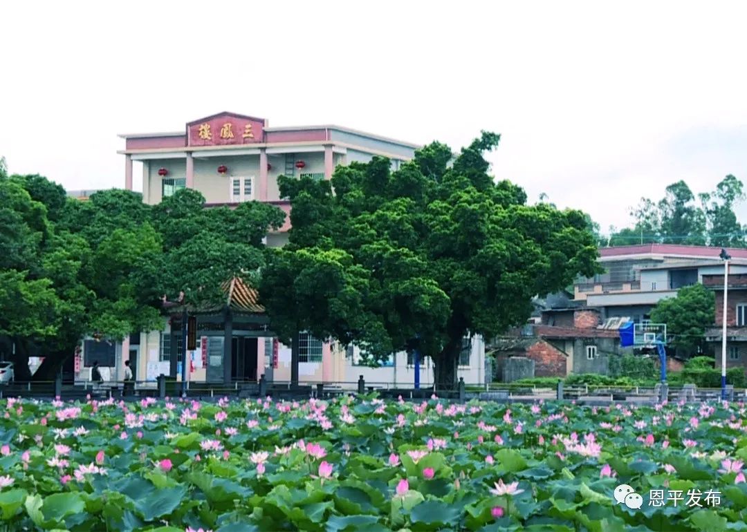 古村落,高园村,恩平市,沙湖镇