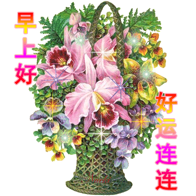 周二特别漂亮早上好问候语图片带字温馨,早安祝福语