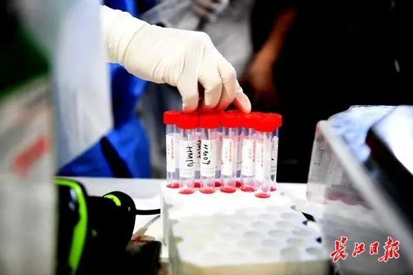 新冠病毒,金振强,武汉,淡水,市疾控中心,疾控