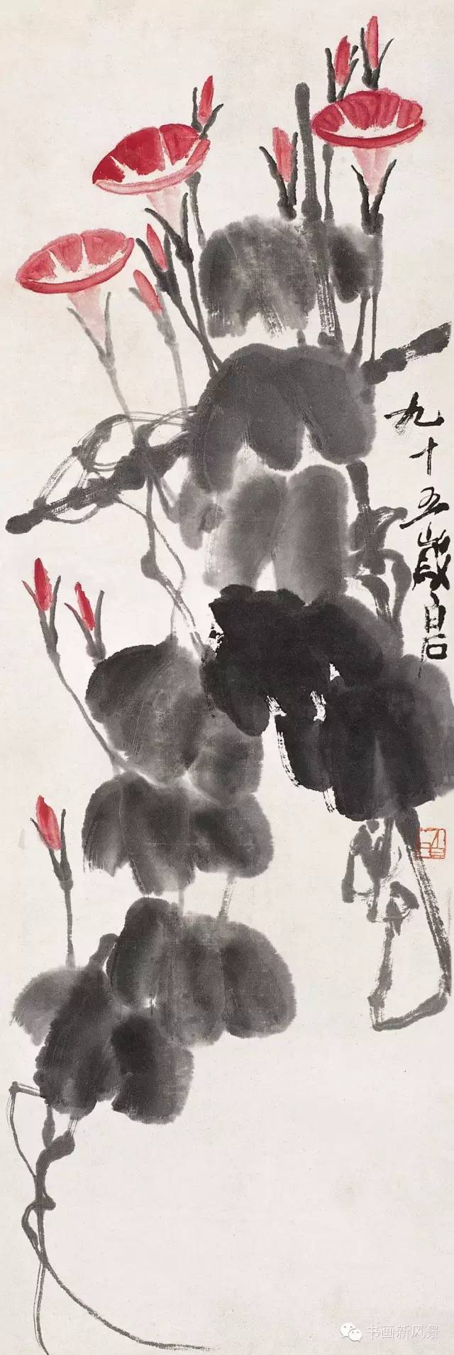 国画中的牵牛花,美不胜收!