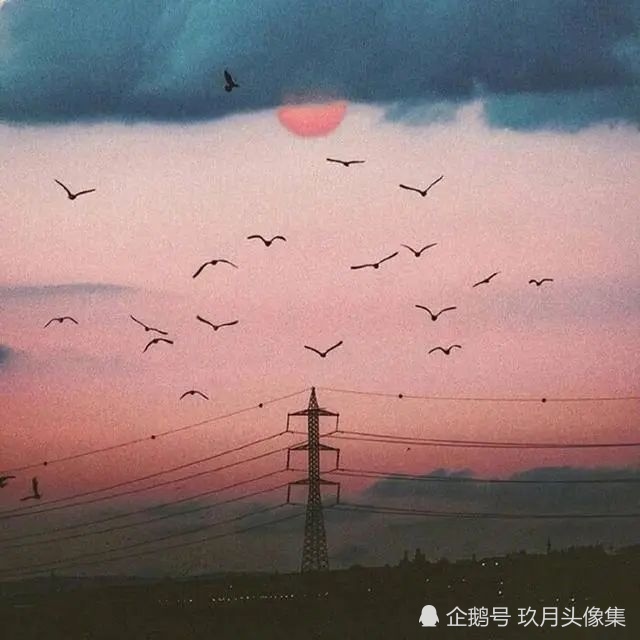 网易云热评:暗恋初中同桌很久,却没在一起,后来才知道