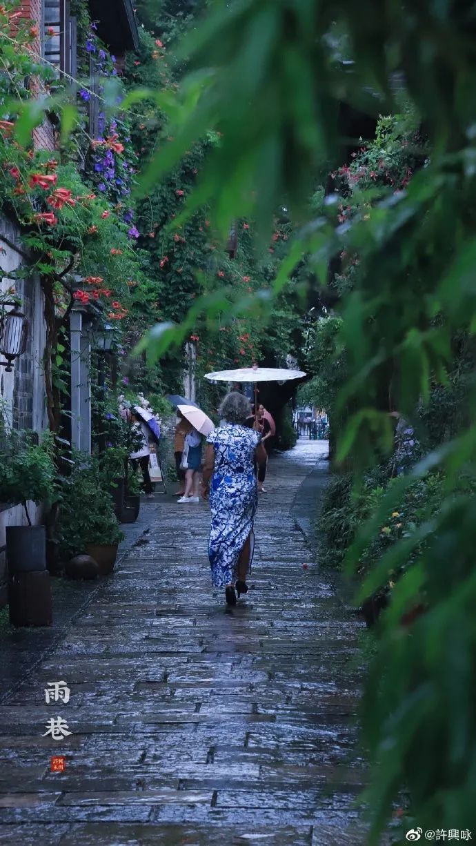 烟雨江南,江南,莫愁湖,许兴咏,雨巷,玄武湖