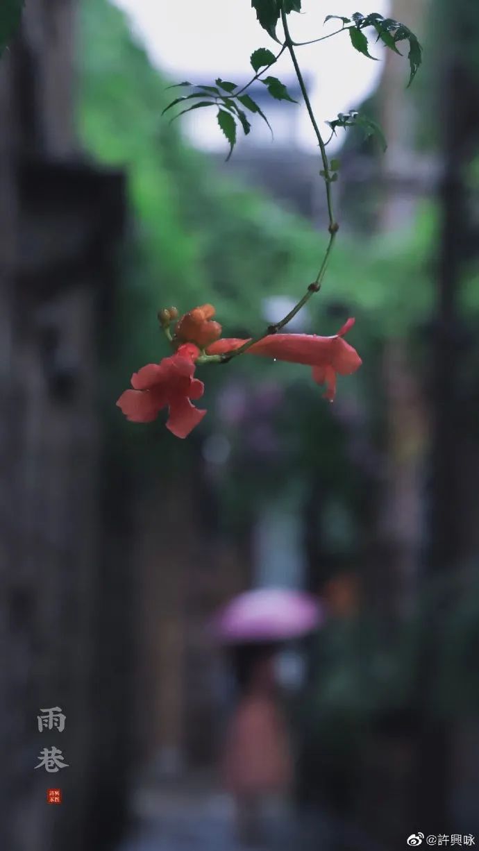 梅雨季,一起看烟雨江南