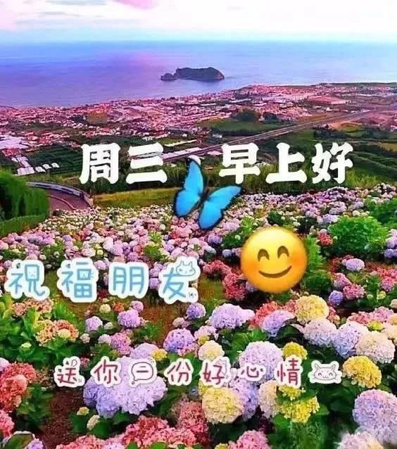 6月17日周三最新早上好问候动态表情图片 暖心早上好图片表情祝福语录