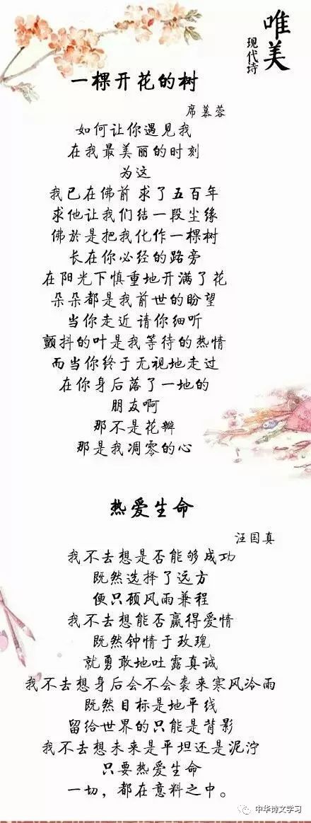 七首唯美现代诗,让人如此难忘