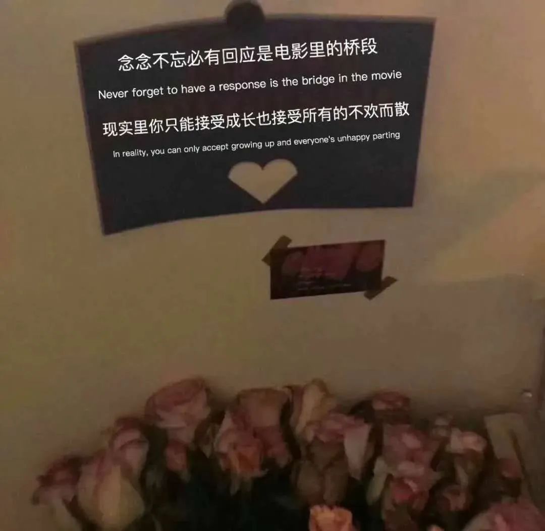 抖音超火背景图
