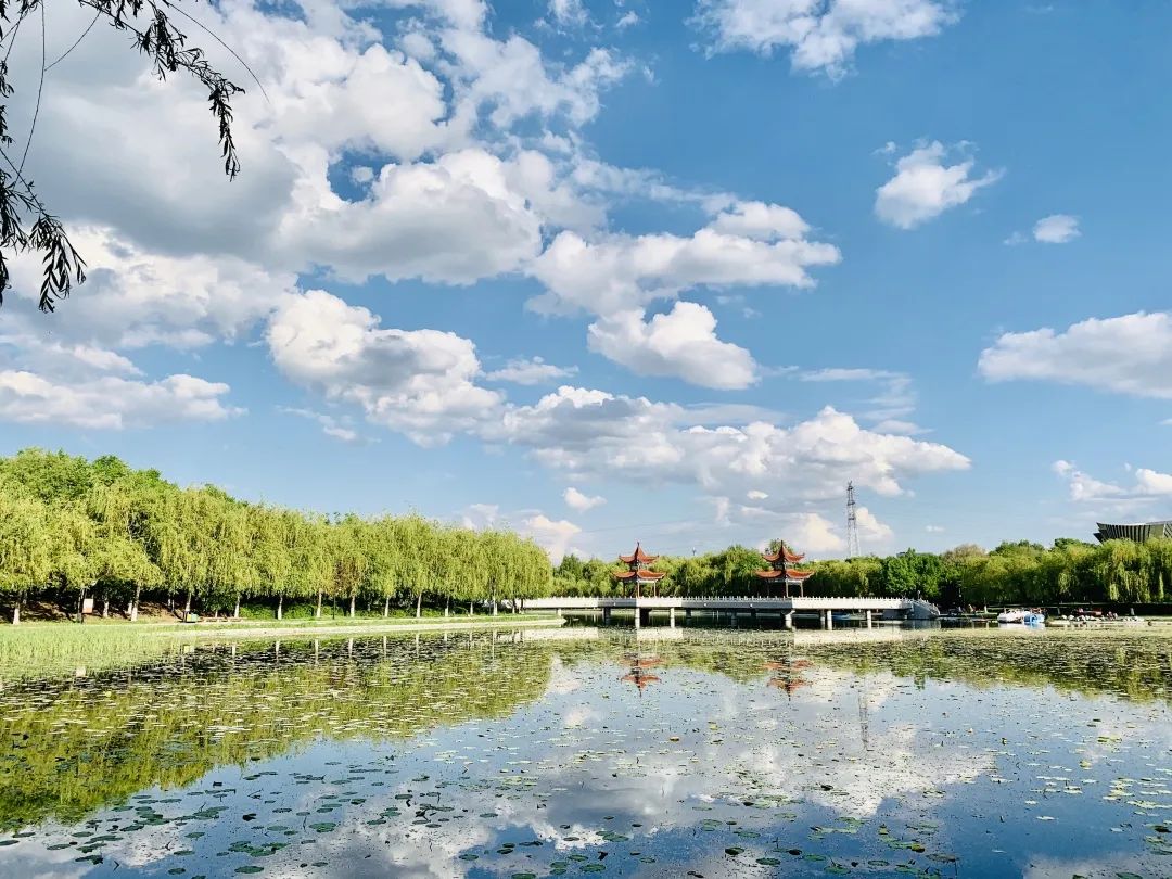 友谊公园:招手在流淌的风景里