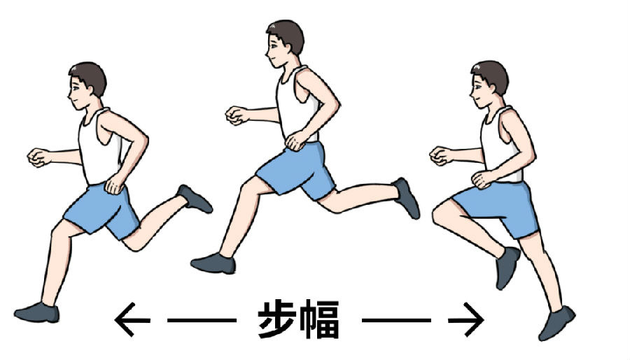 采用更科学跑步姿态 采用较快的步频: 步频加快 膝盖受力减小 步幅