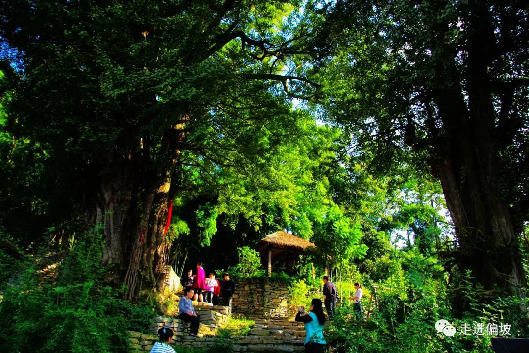 偏坡村,布依族,乌当区,贵州,民族乡,贵阳