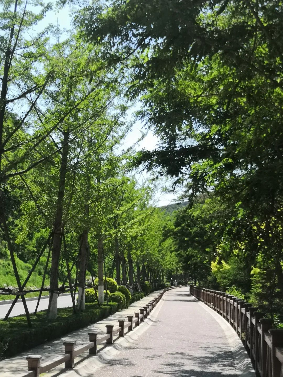 【甘游记】夏日里的棠梨湖公园