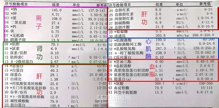 白细胞,高春波,血小板