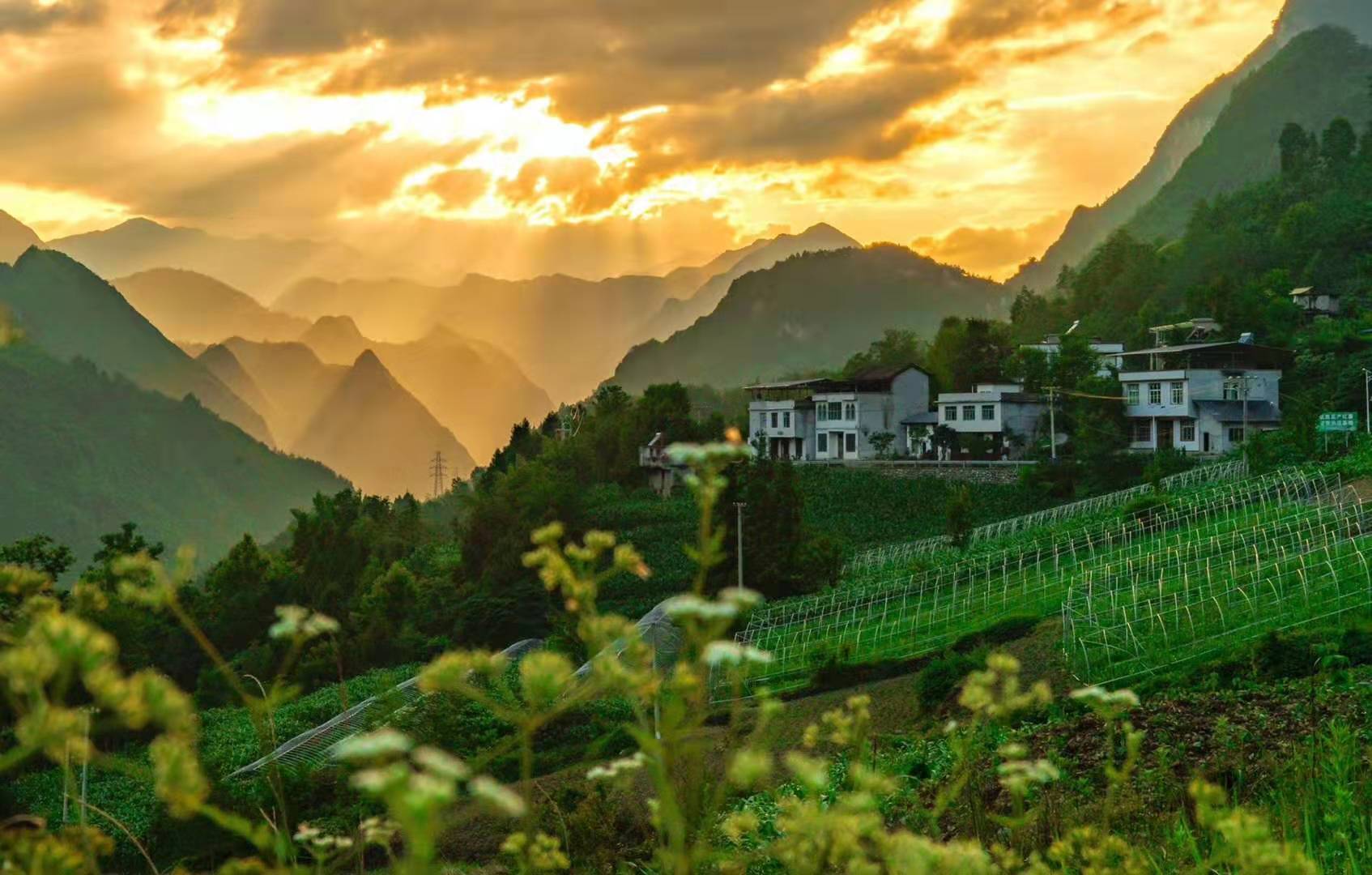 重庆城口县:雨后晚霞伴青山 风景美如画