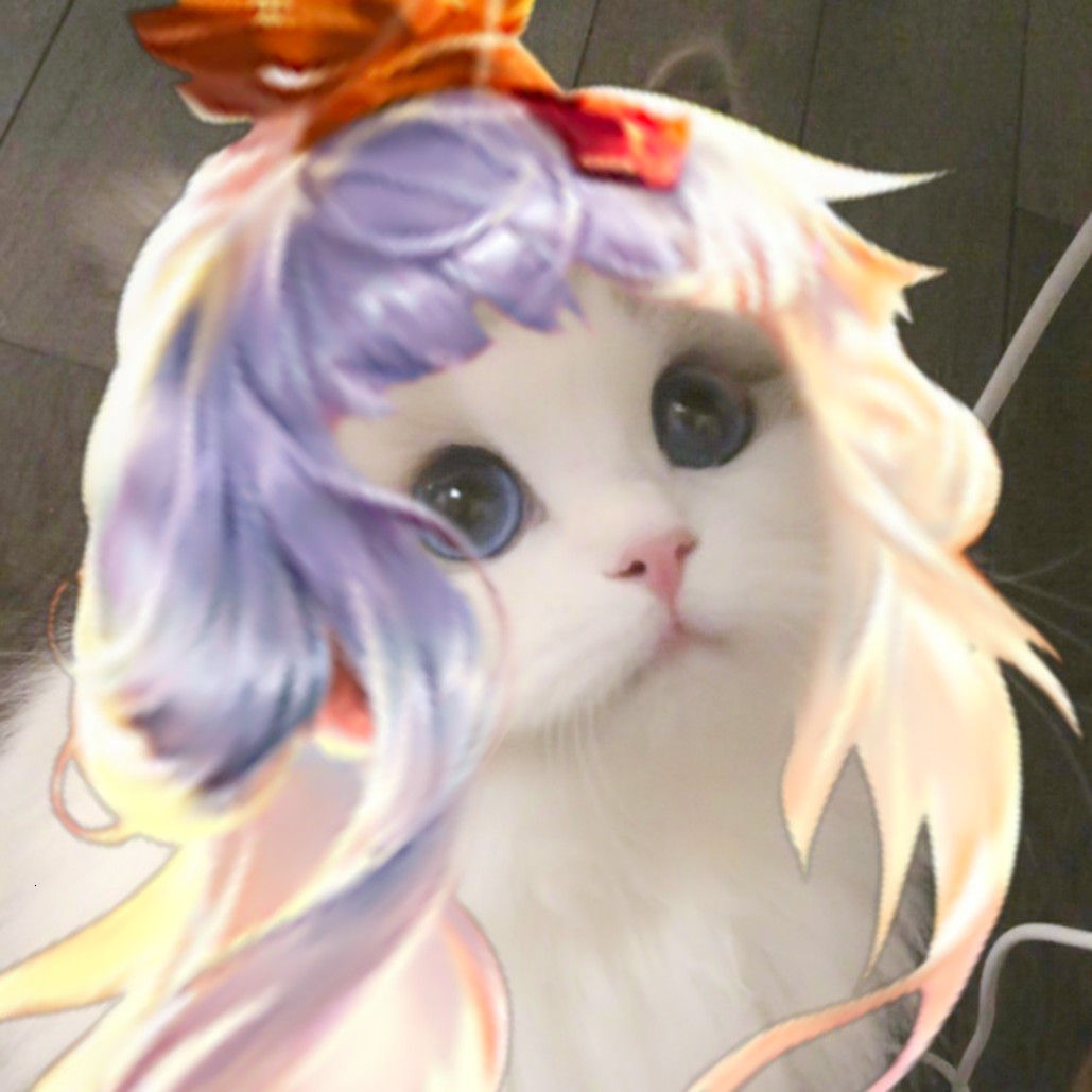 超火的猫咪王者头像