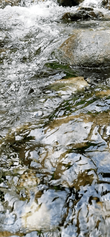 还给人们习习凉风 流动的云,静谧的湖水 日光渐微,时间慢慢走过