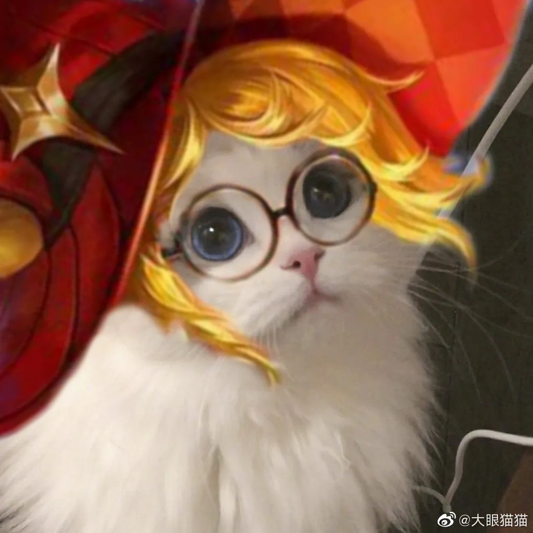超火的猫咪王者头像