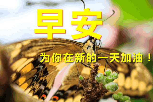 每日,正能量