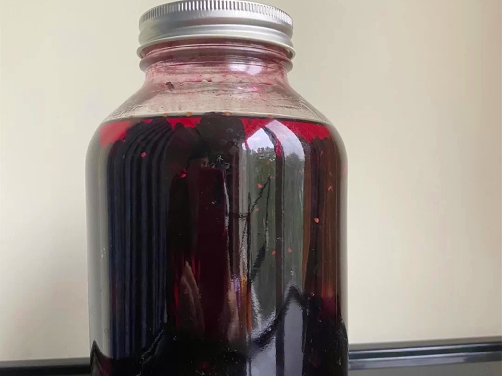 教你泡出两种桑葚酒:一种加酒,一种不加酒,30天喝上香甜的果酒