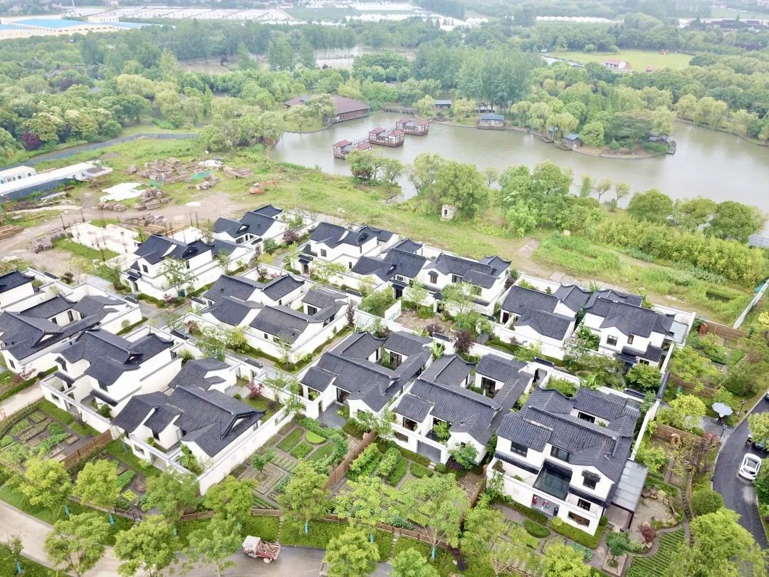 联一村,菜园,古镇,华亭镇,嘉定区,吴兴泉