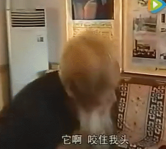 把最后一只擒来的豹子送给国家少年儿童基金会,决定金盆洗手