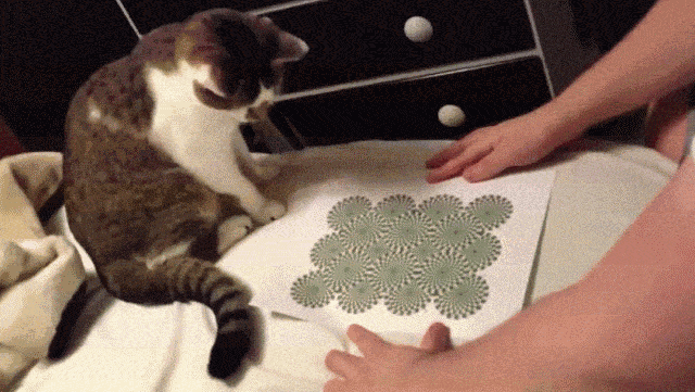 明明是静态图,为什么你会感觉它在动?真的能测试心理压力吗?